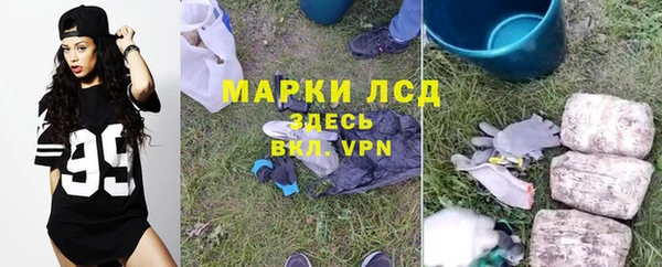 стаф Беломорск