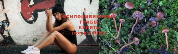 стафф Белоозёрский