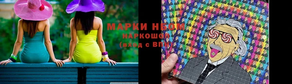 стаф Богородск